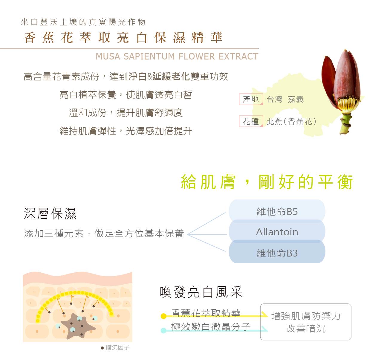 亮妍淨白透潤化妝水